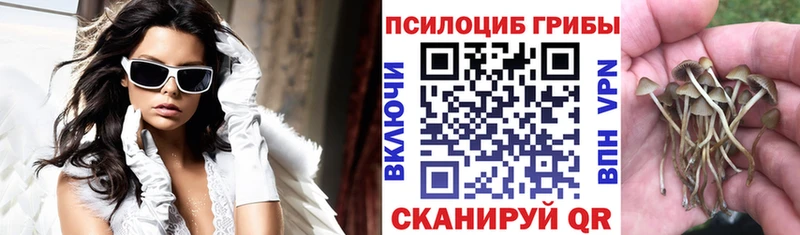 Купить где Заозёрный Галлюциногенные грибы GOLDEN TEACHER
